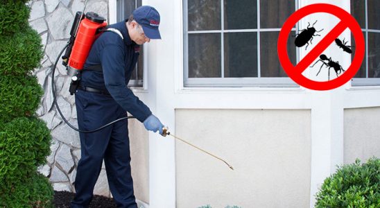 Evka 1 Fare İlaçlama böcek ilaçlama ve haşere kontrolü — ilaclama-tr.com
